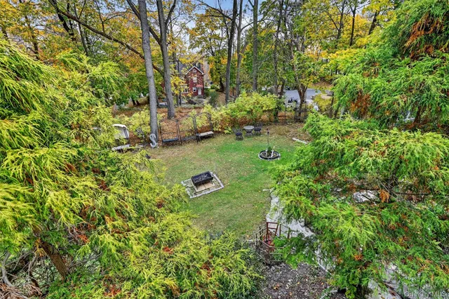 a view of a tree in a garden