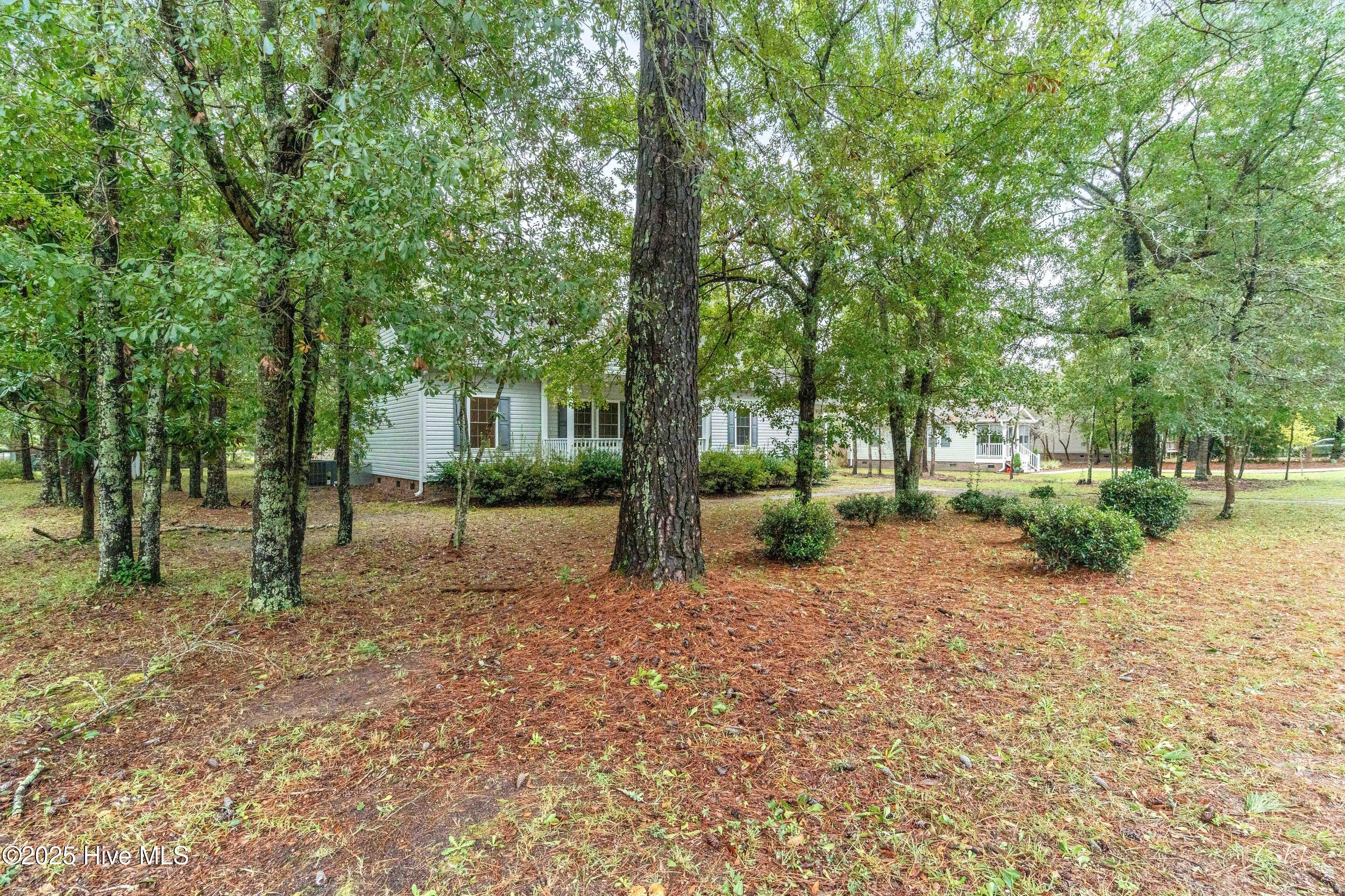 7048 Ruth Avenue Wilmington, NC 28411 - Photo 5 of 30 mls-4989-3