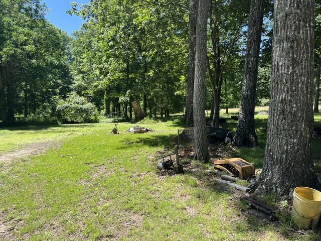 362 Cullen Savage Road Palmer, TN 37365 - Photo 23 of 76 IMG_7161