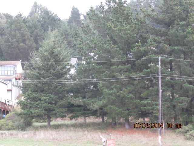 122 Ocean View Road Shelter Cove, CA 95589 - Photo 3 of 4 IMG_1378