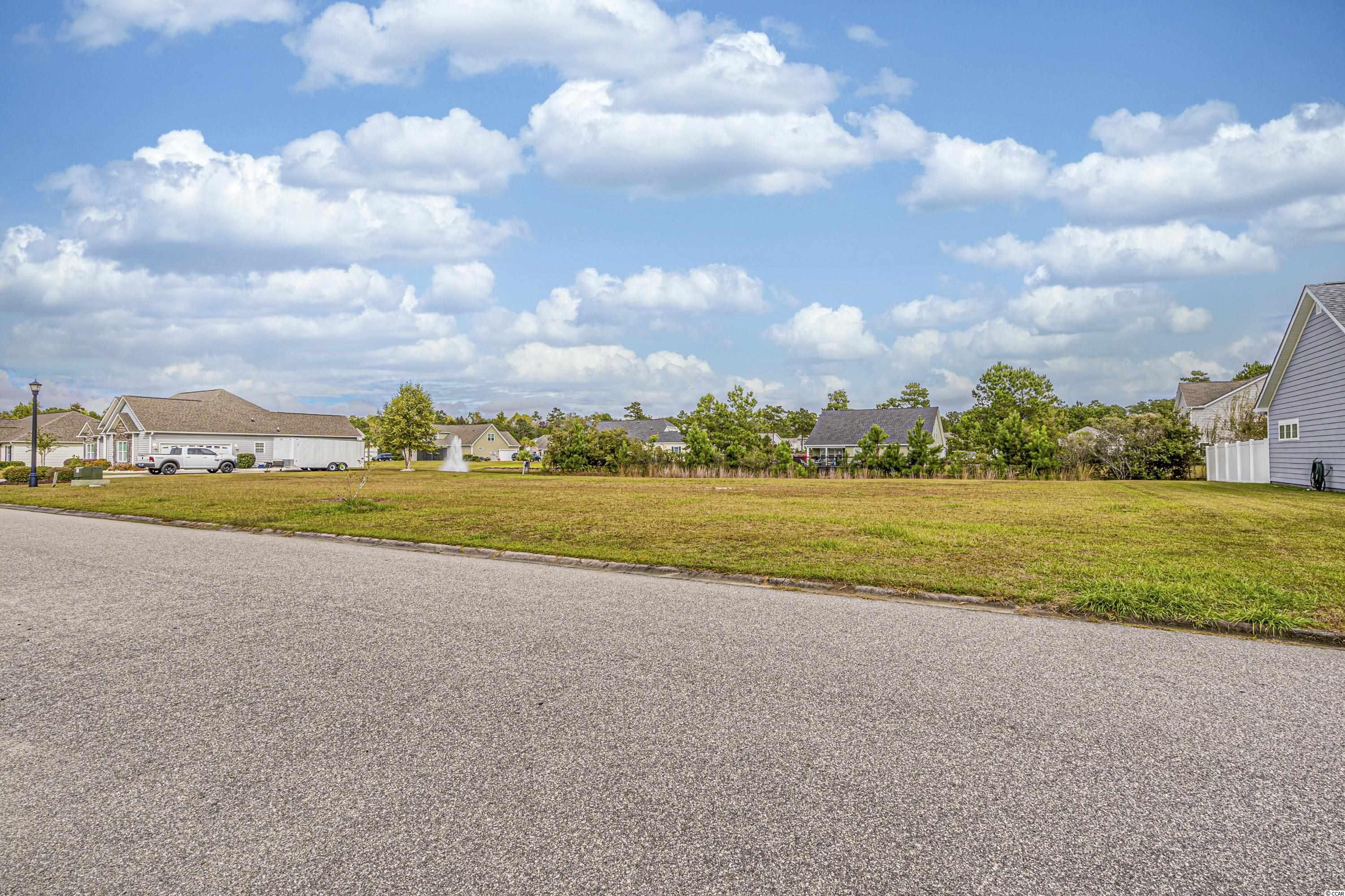 296 Marsh Tacky Loop Myrtle Beach, SC 29588 - Photo 14 of 23