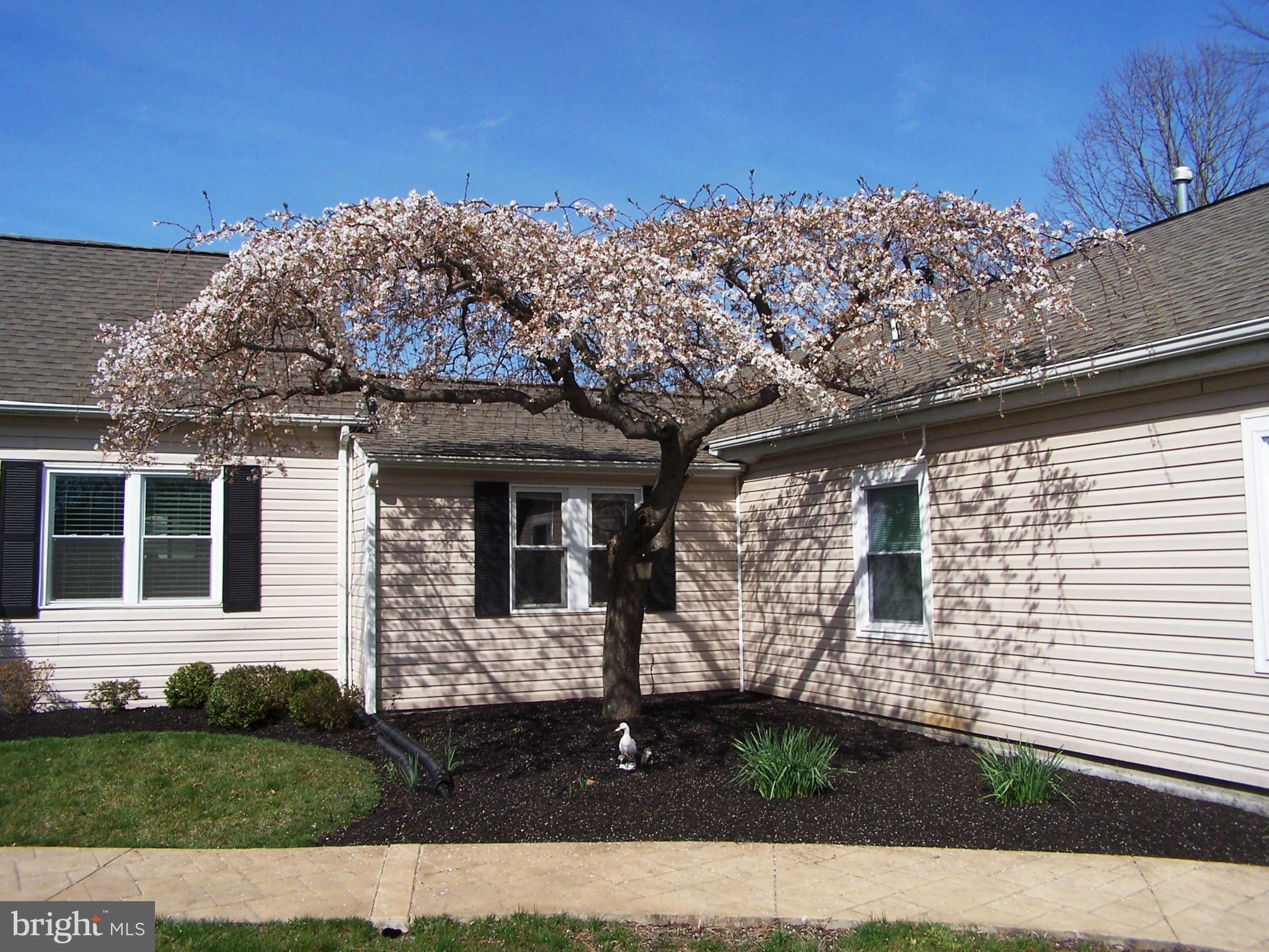 6720 Edsall Road Springfield, VA 22151 - Photo 22 of 26 Exterior (Front)