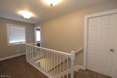 4311 Good Road Seville, OH 44273 - Photo 19 of 35