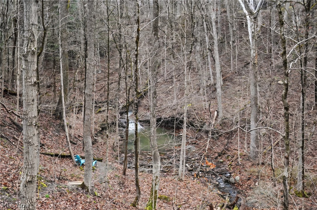 6196 Riverview Road Peninsula, OH 44264 - Photo 2 of 11 view of creek and waterfall