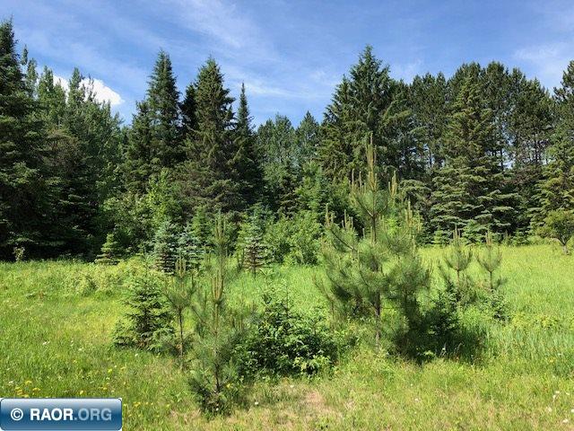 Lot 5-bk Luna Lake Road Side Lake, MN 55781 - Photo 1 of 7