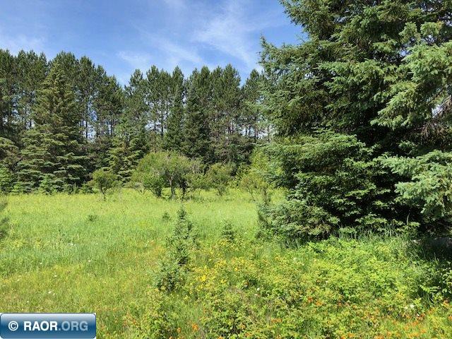 Lot 5-bk Luna Lake Road Side Lake, MN 55781 - Photo 4 of 7