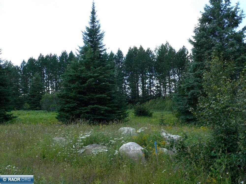 Lot 5-bk Luna Lake Road Side Lake, MN 55781 - Photo 5 of 7