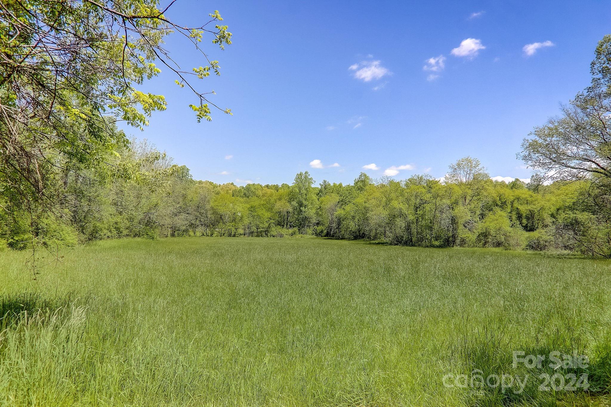 141 Livingston Road Fletcher, NC 28732 - Photo 1 of 29 Gallery Image 1