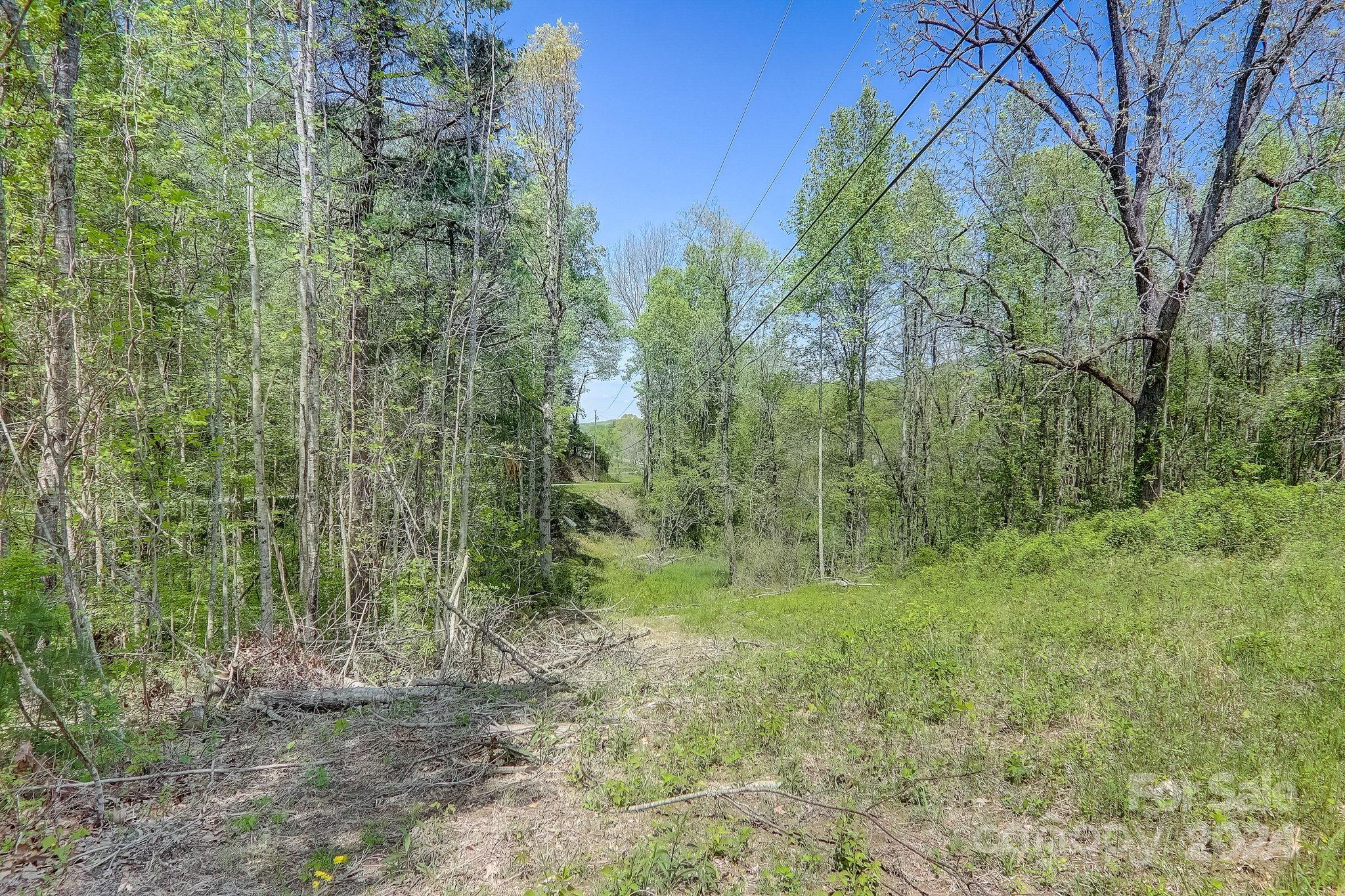 141 Livingston Road Fletcher, NC 28732 - Photo 13 of 29 Gallery Image 13