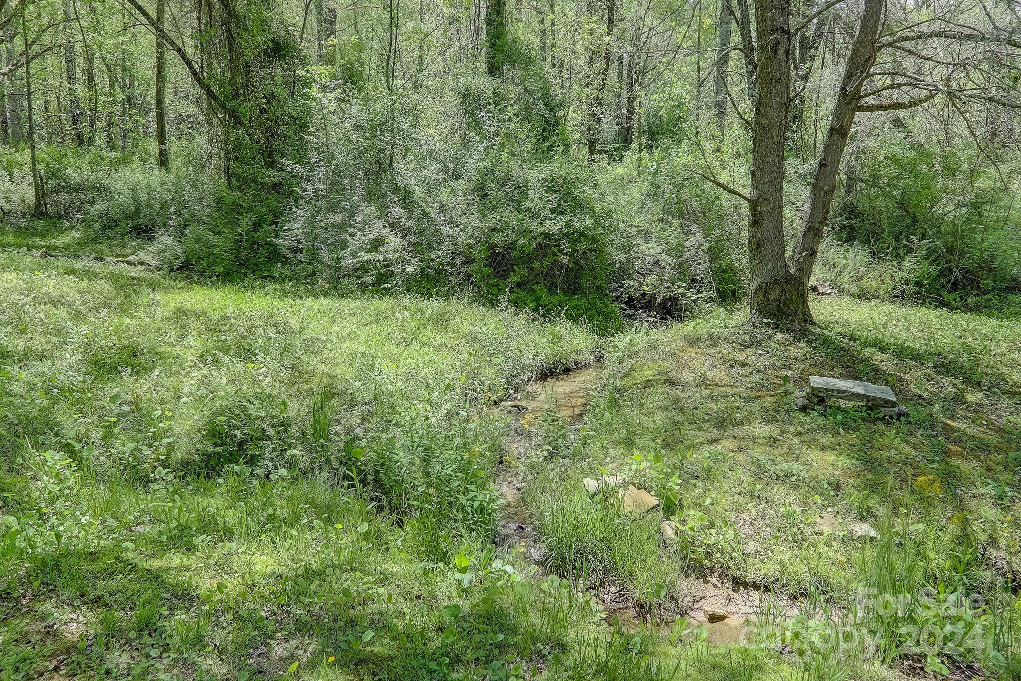 141 Livingston Road Fletcher, NC 28732 - Photo 16 of 29 Gallery Image 16