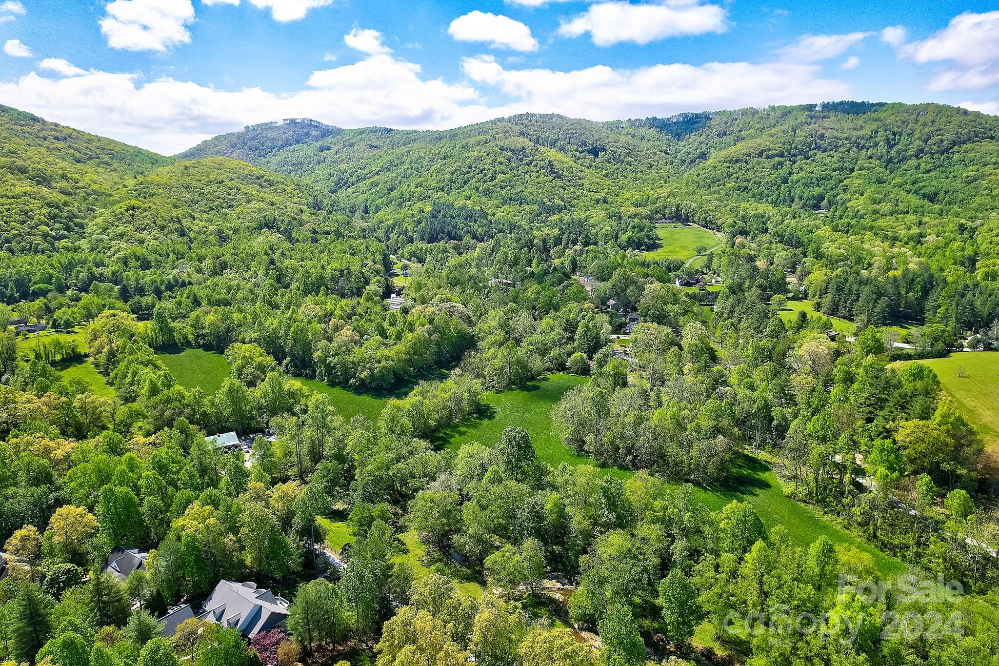 141 Livingston Road Fletcher, NC 28732 - Photo 21 of 29 Gallery Image 21