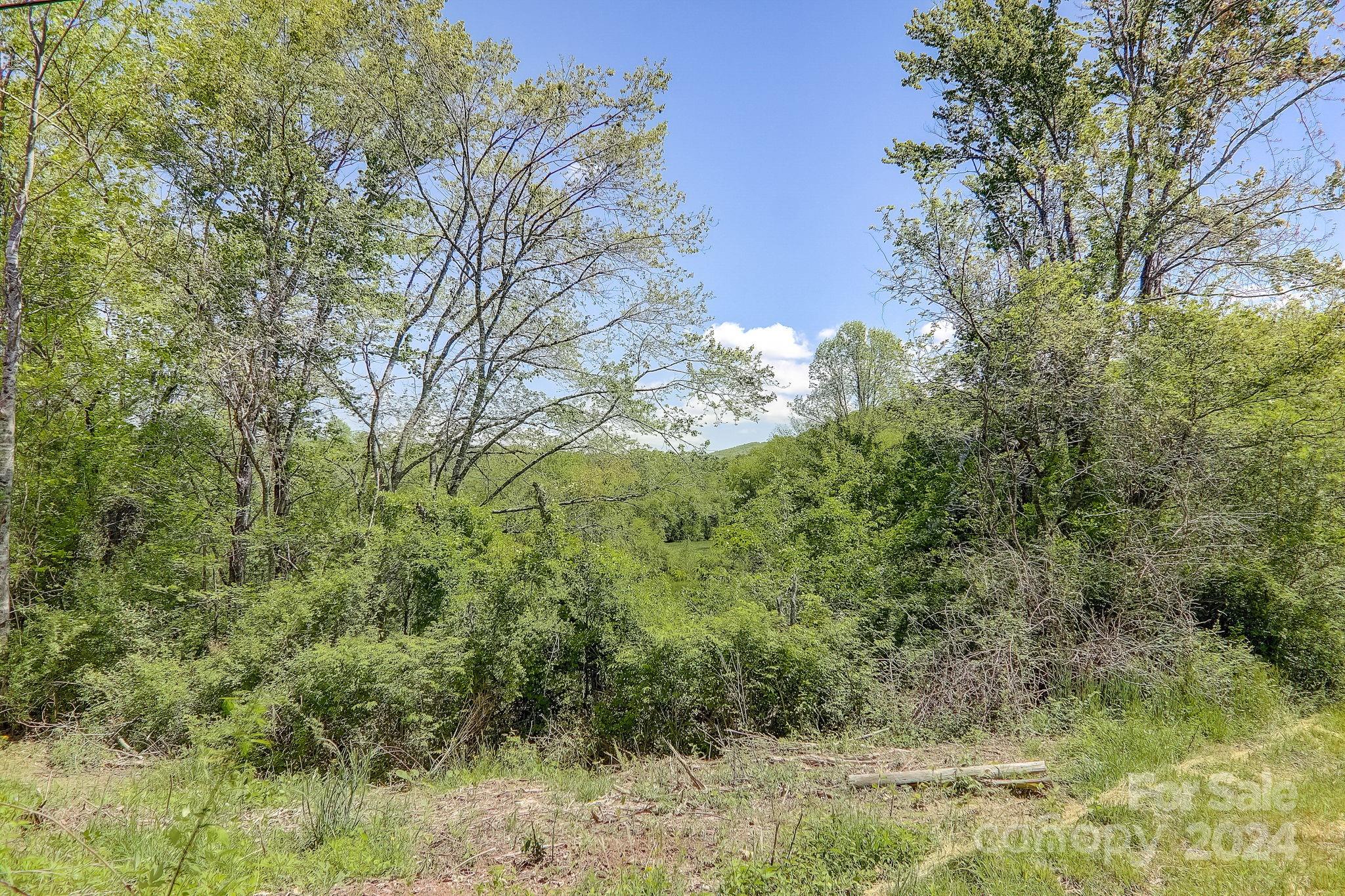 141 Livingston Road Fletcher, NC 28732 - Photo 23 of 29 Gallery Image 23