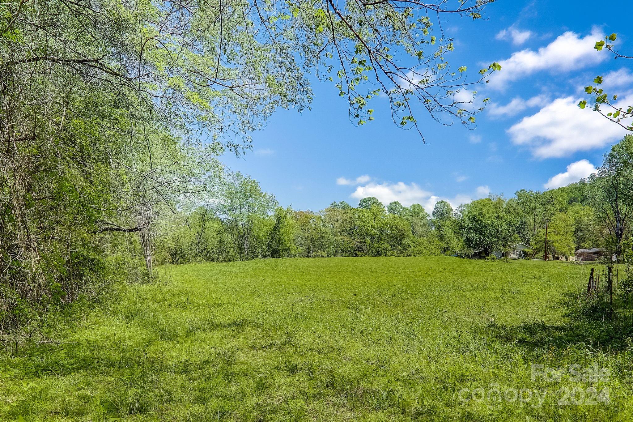 141 Livingston Road Fletcher, NC 28732 - Photo 4 of 29 Gallery Image 4