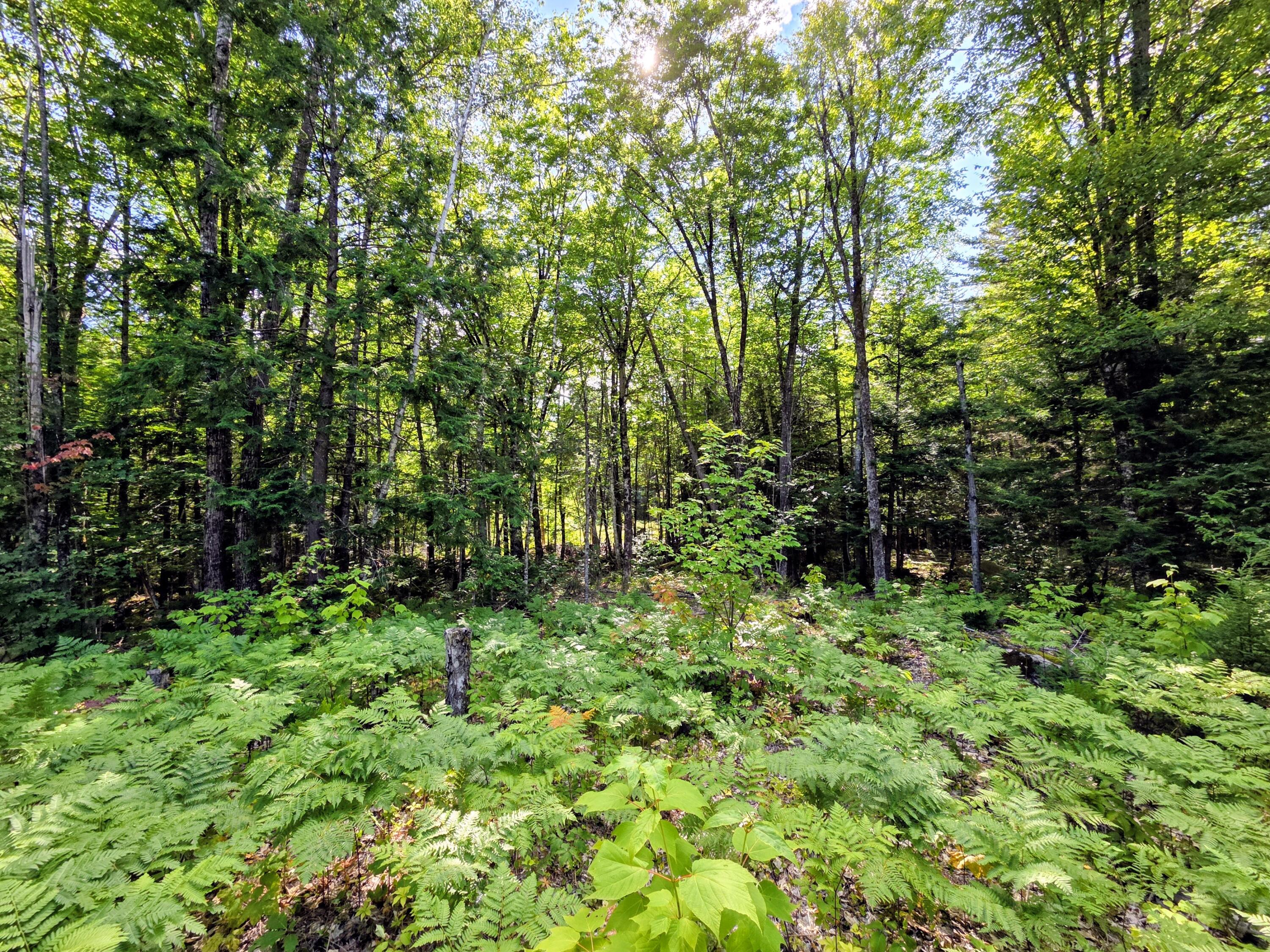 116 Cross Road Avon, ME 04966 - Photo 23 of 31 116 Cross Road