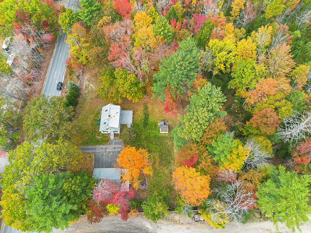 1278 Naples Road Harrison, ME 04040 - Photo 6 of 84 Foliage