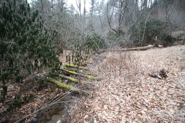 774 River Road Todd, NC 28684 - Photo 11 of 15 Gallery Image 11