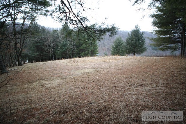 774 River Road Todd, NC 28684 - Photo 14 of 15 Gallery Image 14