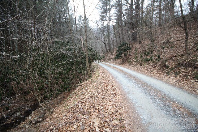 774 River Road Todd, NC 28684 - Photo 8 of 15 Gallery Image 8