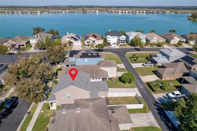 a view of a lake with a tree