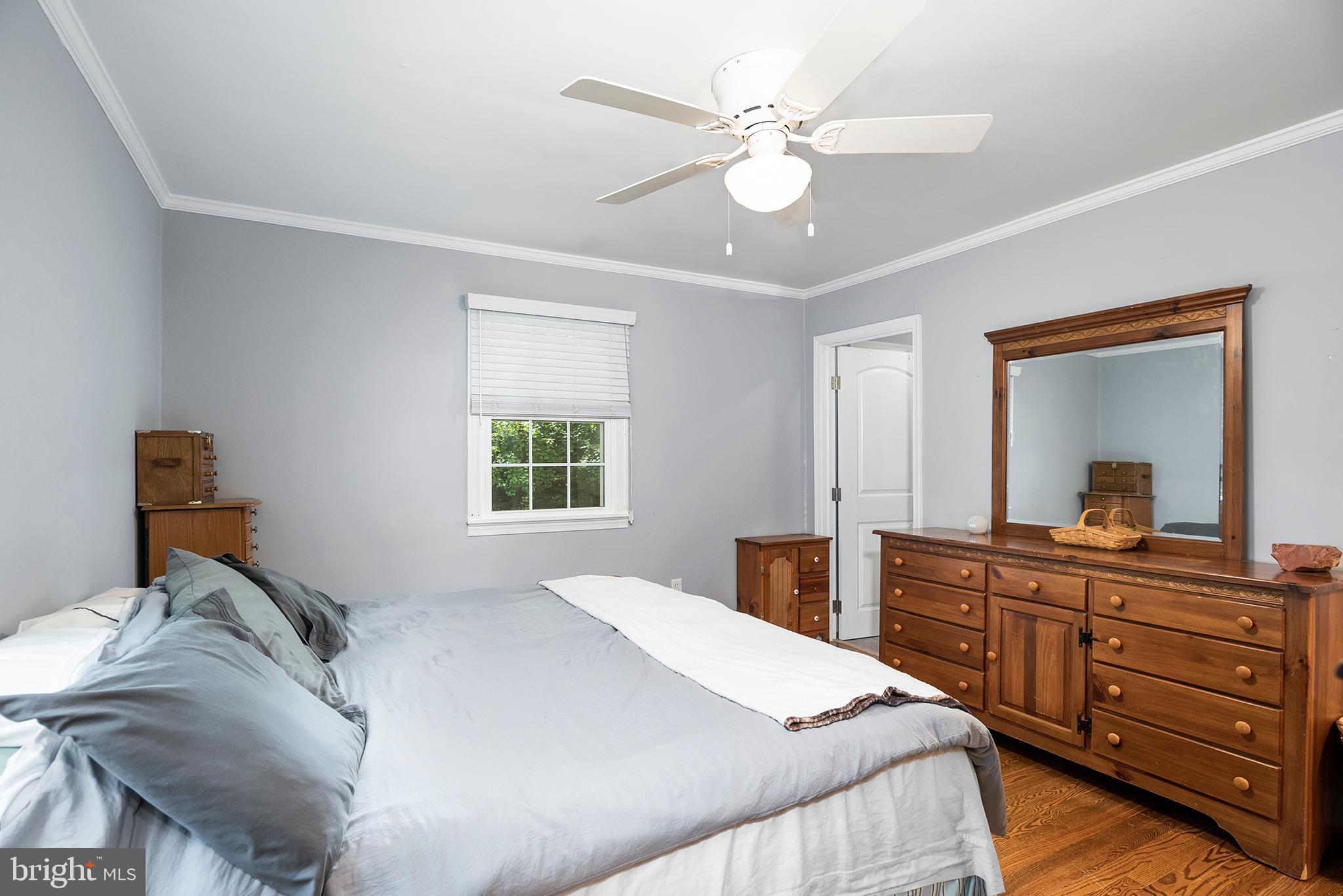8610 Camp Road Chestertown, MD 21620 - Photo 24 of 38 MASTER