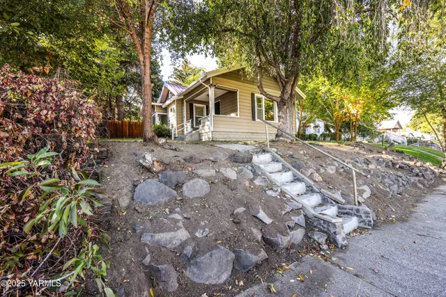 a dirt road with a large trees