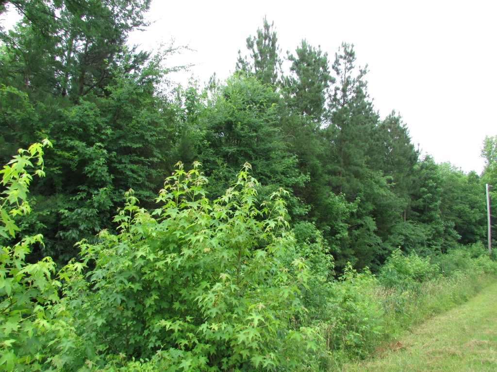 Jim Poole Road Roxboro, NC 27574 - Photo 10 of 11 Photo 10