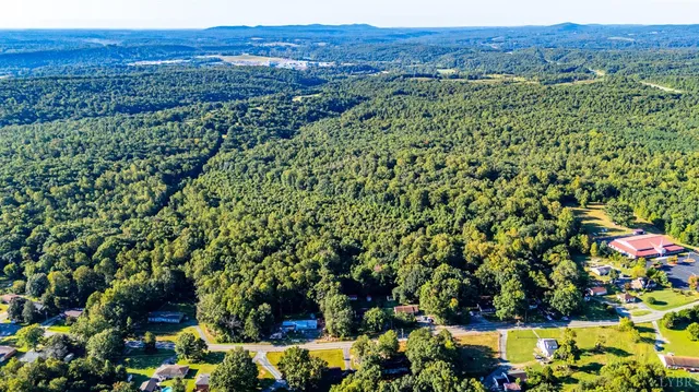 a view of a lush green forest with a house