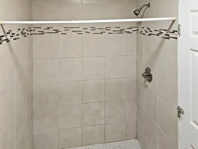 a bathroom with a shower and a toilet