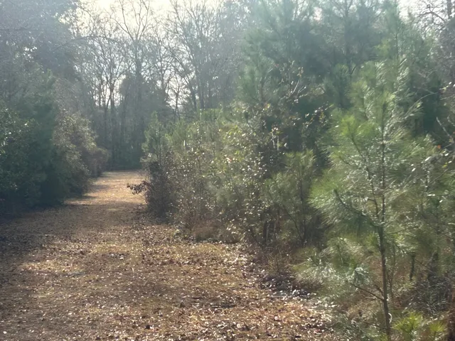 $280,000 | 1 Old Jacksonboro Road, Ravenel, SC 29470