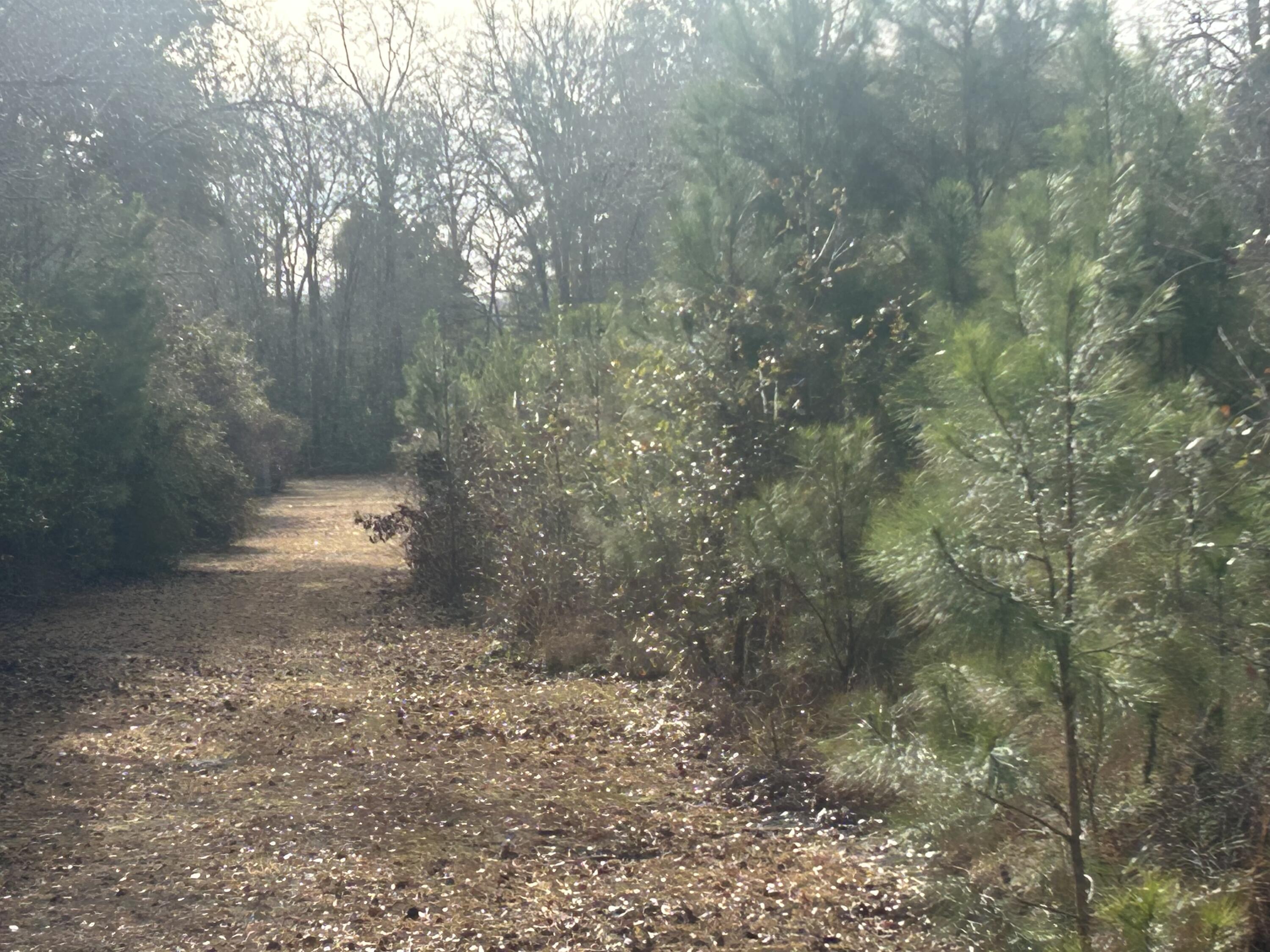 1 Old Jacksonboro Road Ravenel, SC 29470 - Photo 1 of 4 IMG_4283