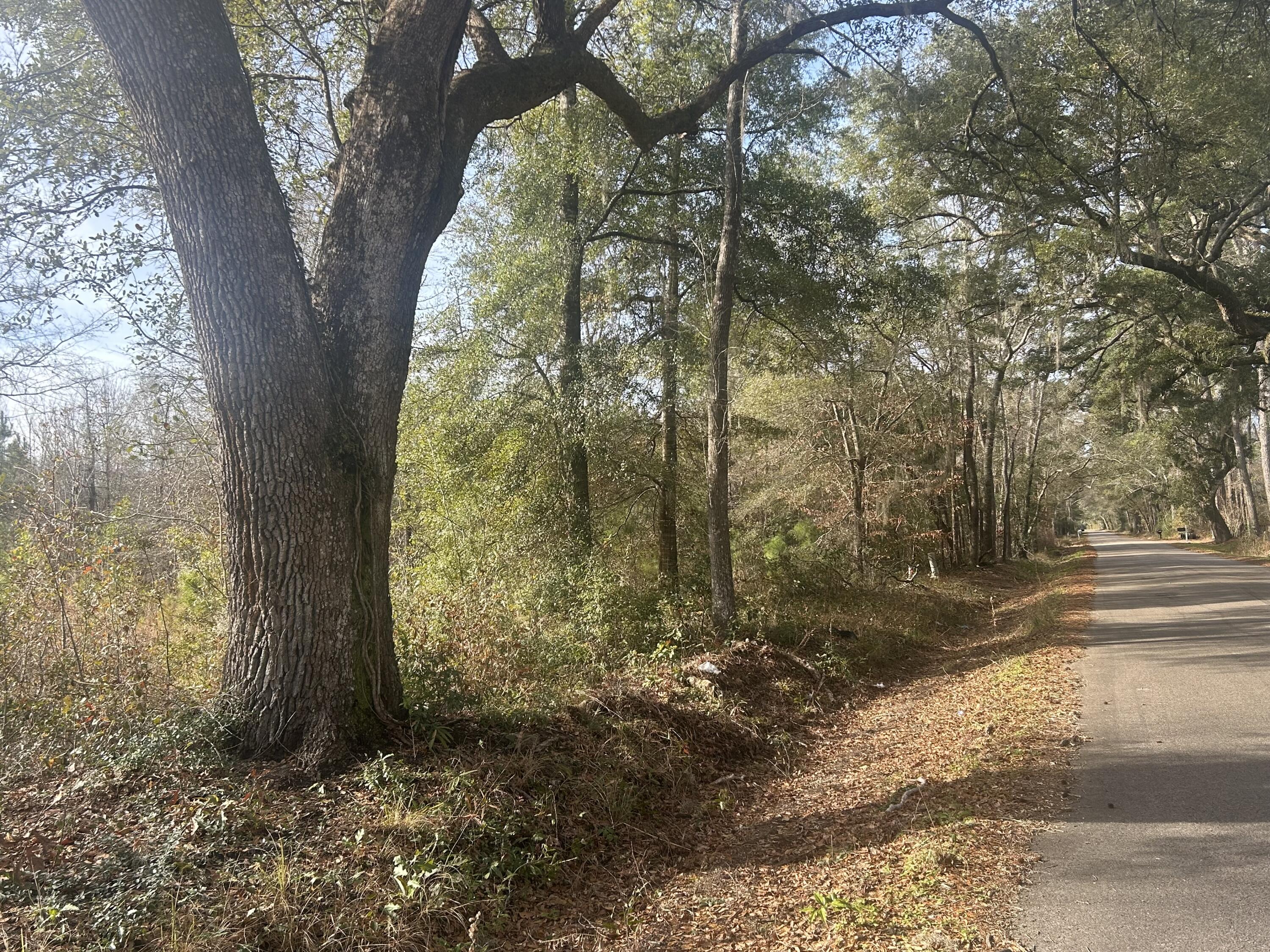 1 Old Jacksonboro Road Ravenel, SC 29470 - Photo 4 of 4 IMG_4286