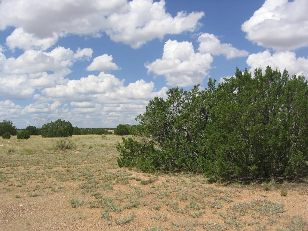 29 T15n R16e:se4 Ne4 Heber, AZ 85928 - Photo 12 of 15