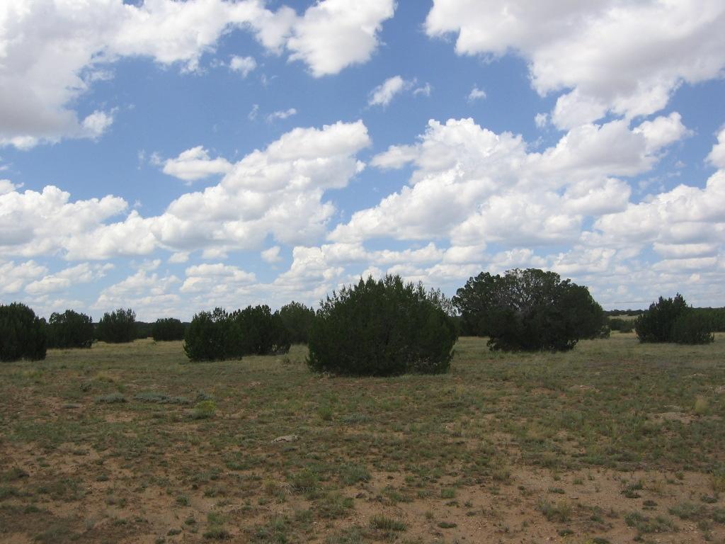 29 T15n R16e:se4 Ne4 Heber, AZ 85928 - Photo 15 of 15