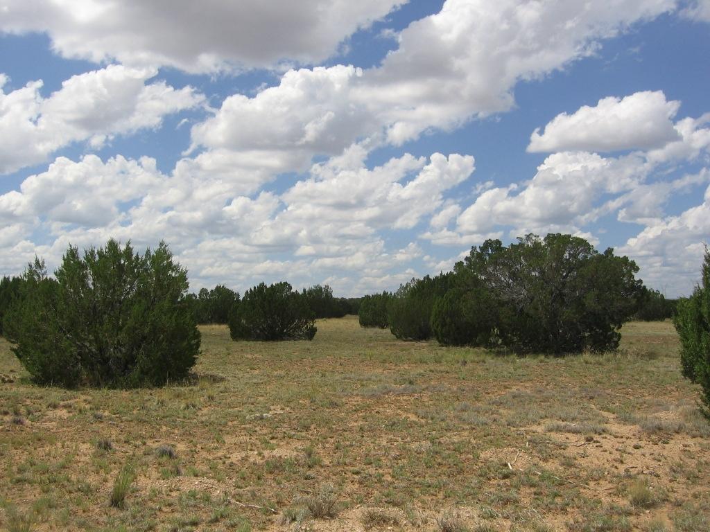 29 T15n R16e:se4 Ne4 Heber, AZ 85928 - Photo 10 of 15