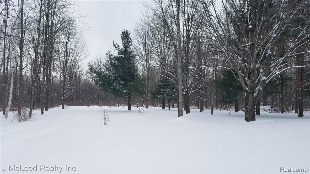 3685 Rowland Road Vassar, MI 48768 - Photo 45 of 57 20171215_140842.jpg