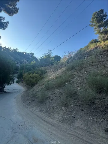 a view of a dry yard