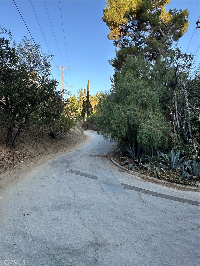 520 Rustic Drive Los Angeles, CA 90065 - Photo 6 of 7 a view of a dry yard with trees