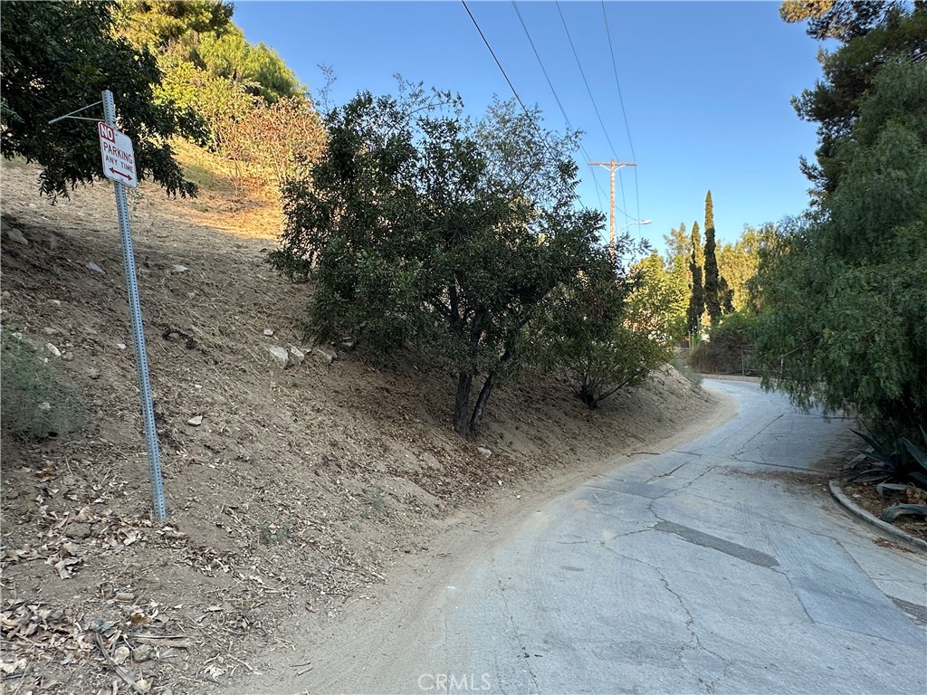 520 Rustic Drive Los Angeles, CA 90065 - Photo 7 of 7 a view of a dry yard with trees and stairs