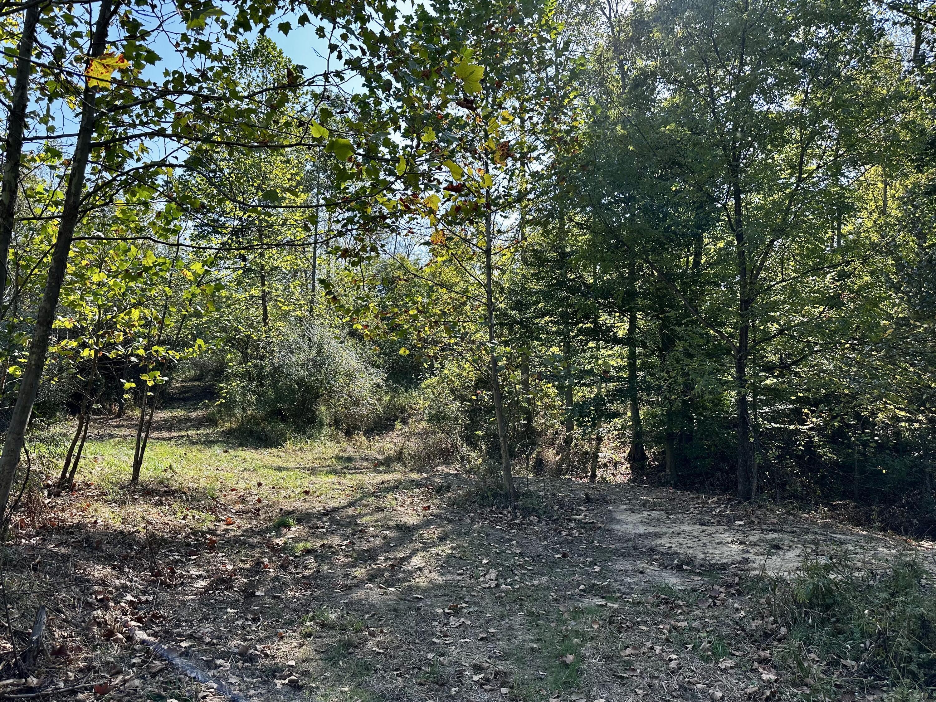 0 Dutch Ridge Road, Unit TRACT 5 AT DUTCH RIDGE) New Straitsville, OH 43766 - Photo 34 of 49 20240920_150454807_iOS