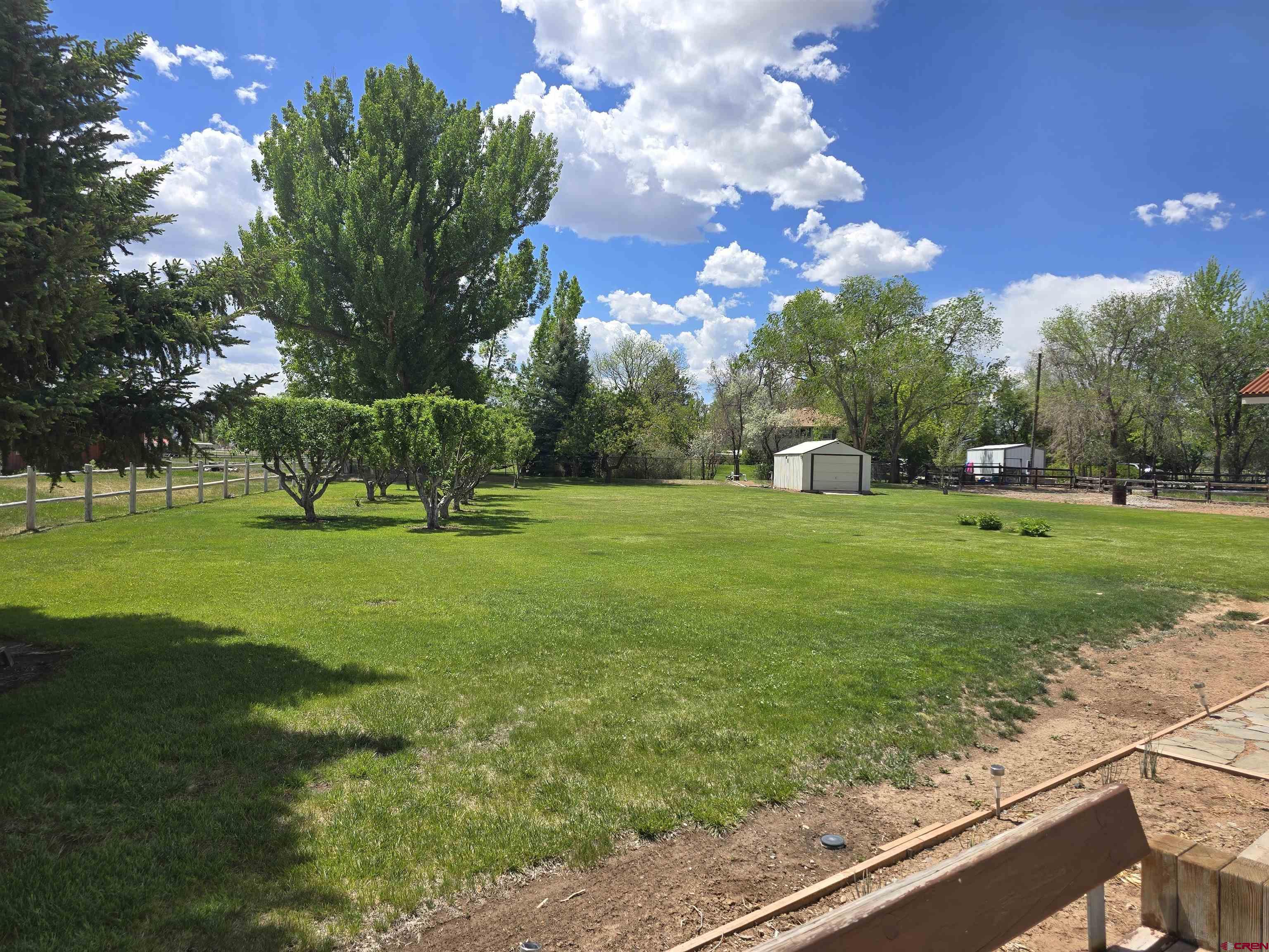 63046 Spring Creek Road Montrose, CO 81403 - Photo 4 of 39
