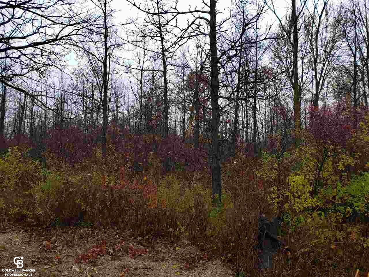 Burt Road Emmett, MI 48022 - Photo 3 of 6