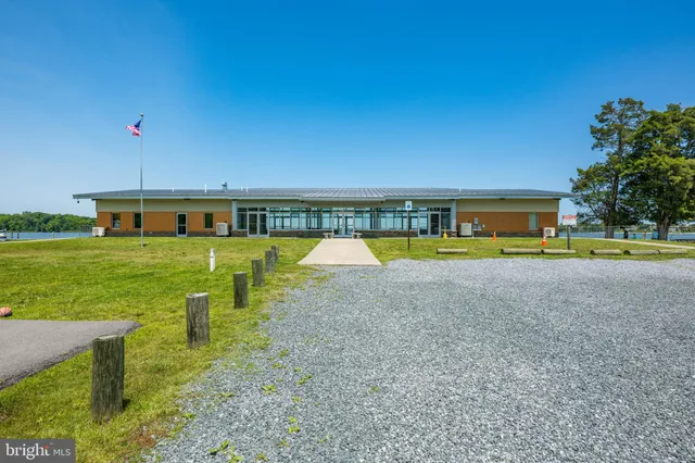 a view of a park with large trees
