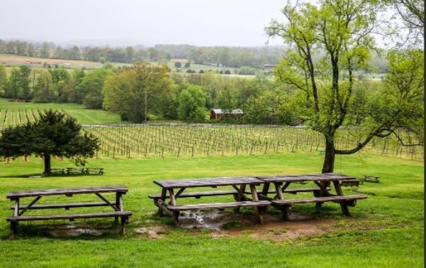 3633 Capstone Court Murfreesboro, TN 37128 - Photo 11 of 14 a view of a swimming pool with lawn chairs and a big yard