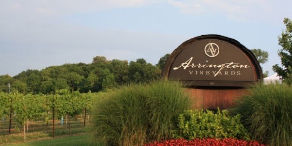 3633 Capstone Court Murfreesboro, TN 37128 - Photo 10 of 14