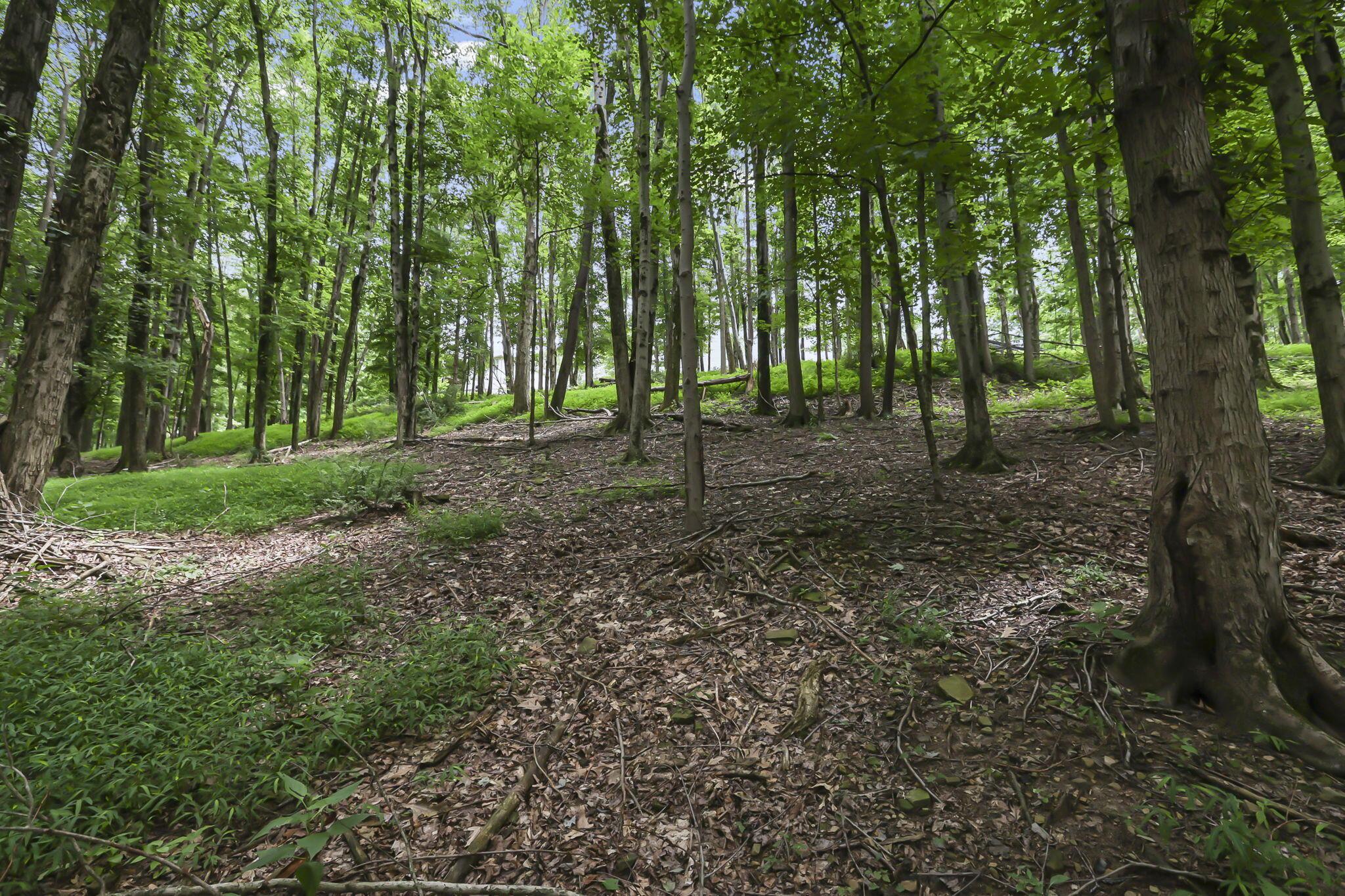 4000 Milner Road Northeast Newark, OH 43055 - Photo 52 of 56 26-web-or-mls-0V3A8965
