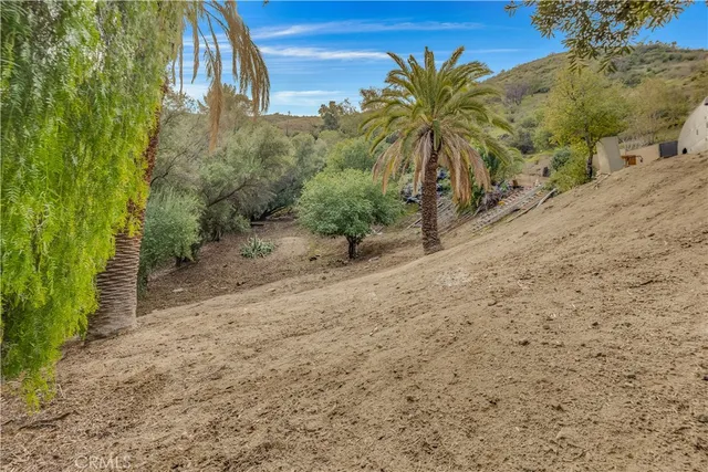 a view of a backyard with plants