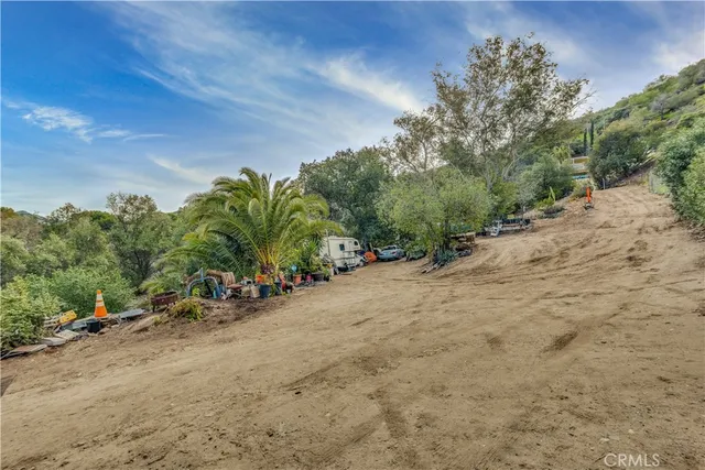 a view of a road with plants and a trees