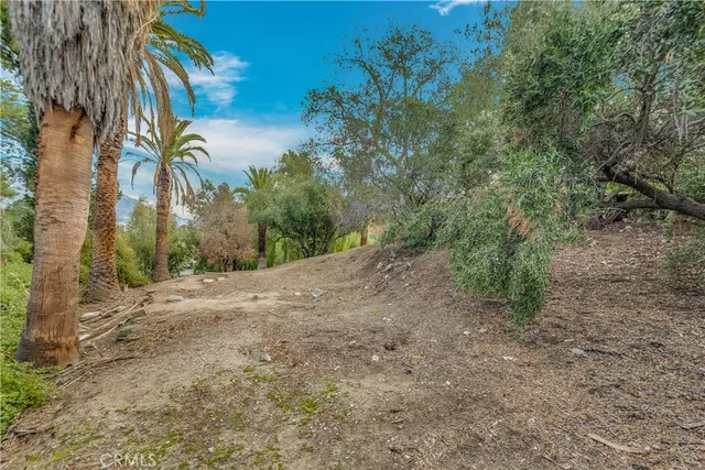 a view of a yard with plants and trees
