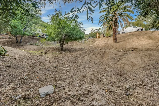 a view of a yard with a tree