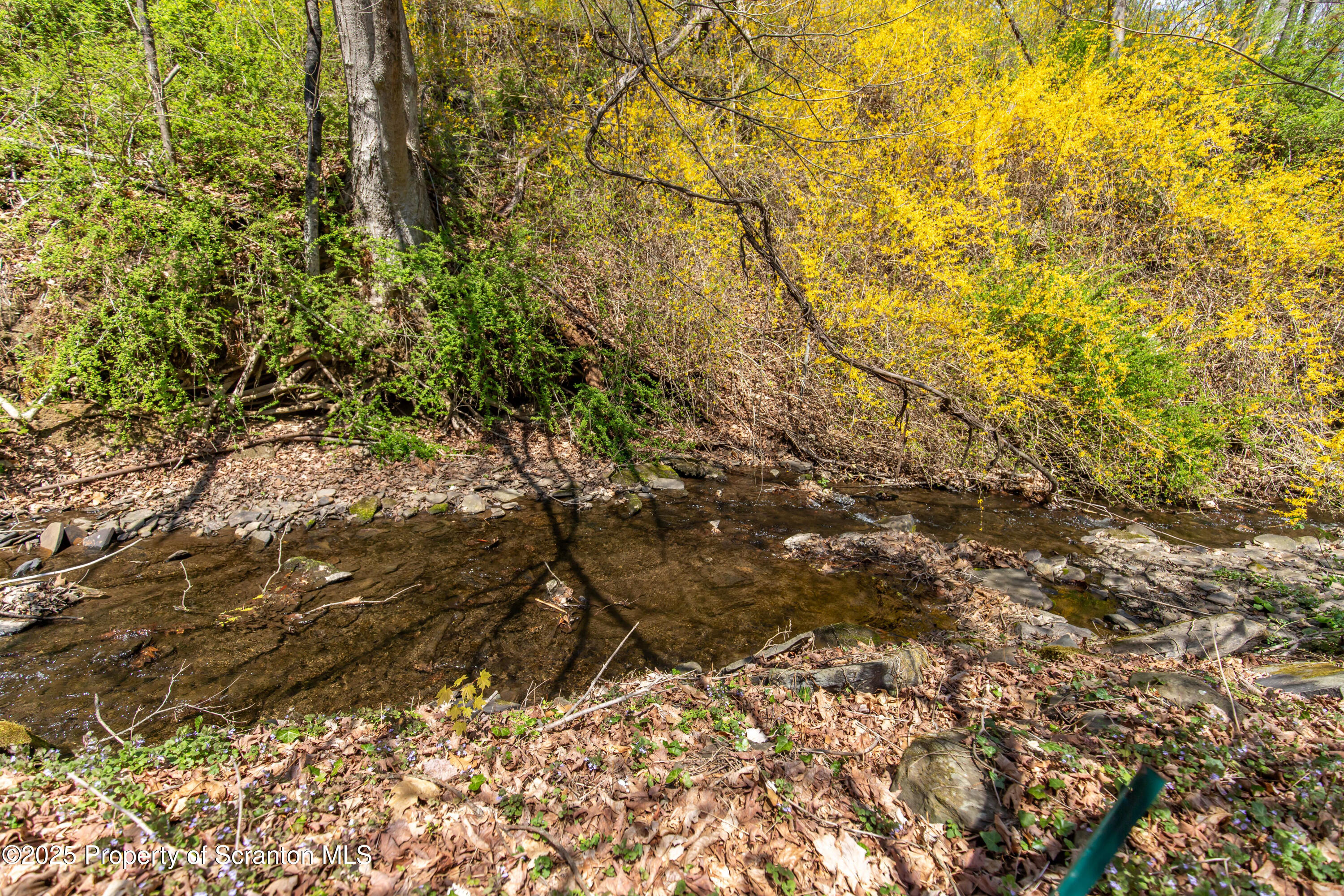 675 Apple Tree Road Pittston, PA 18643 - Photo 39 of 46 creek